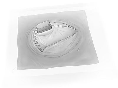 Fig28.jpg