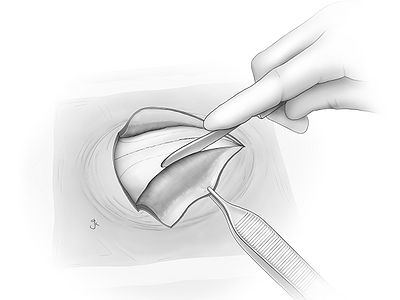 Fig03.jpg