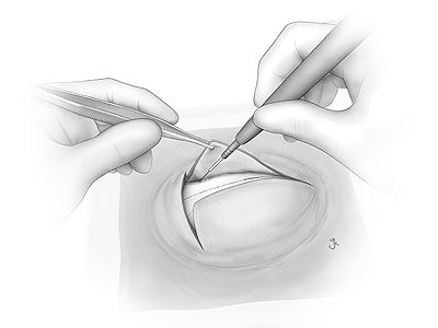 Fig02.jpg