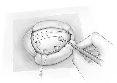 Fig08.jpg