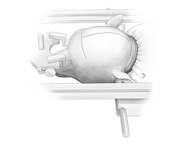 Fig01.jpg
