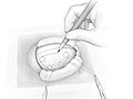 Fig4.jpg