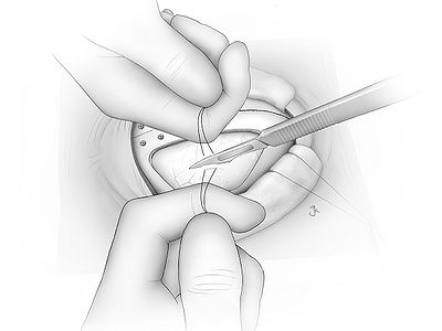 Fig14.jpg