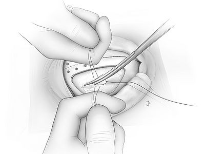 Fig16.jpg