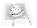 Fig11.jpg