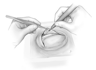 Fig2.jpg