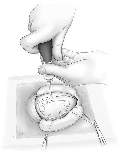 Fig5.jpg