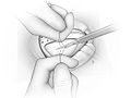 Figure 14.jpg