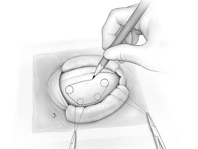Fig 04.jpg