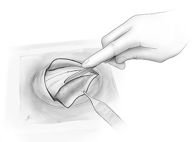 Fig3.jpg