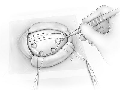 Fig07.jpg