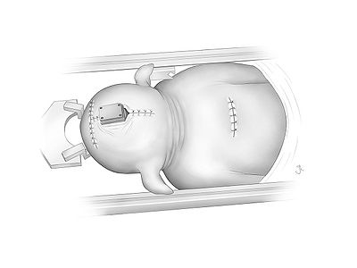 Fig30.jpg