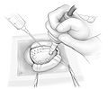 Fig6.jpg