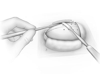 Fig12.jpg