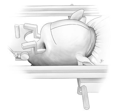 Fig1.jpg