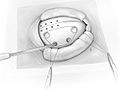 Fig09.jpg