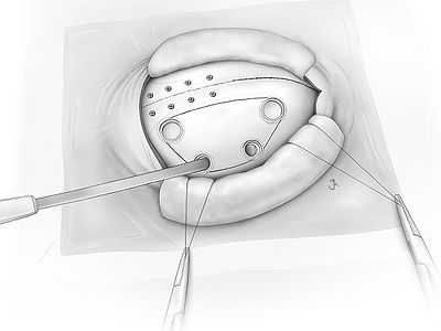 Fig09.jpg