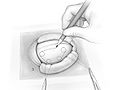 Fig04.jpg