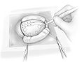 Fig7.jpg