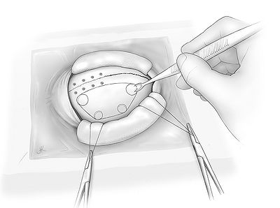 Fig7.jpg