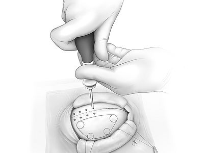 Fig05.jpg