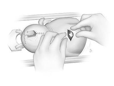 Fig29.jpg